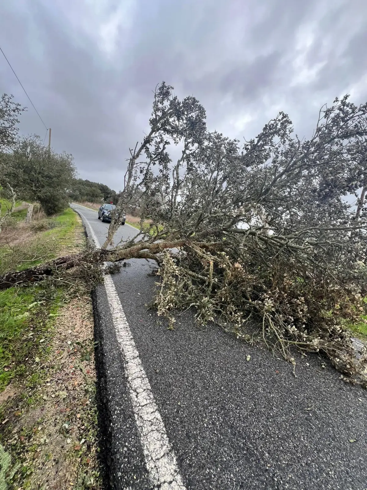 Reprodução Facebook