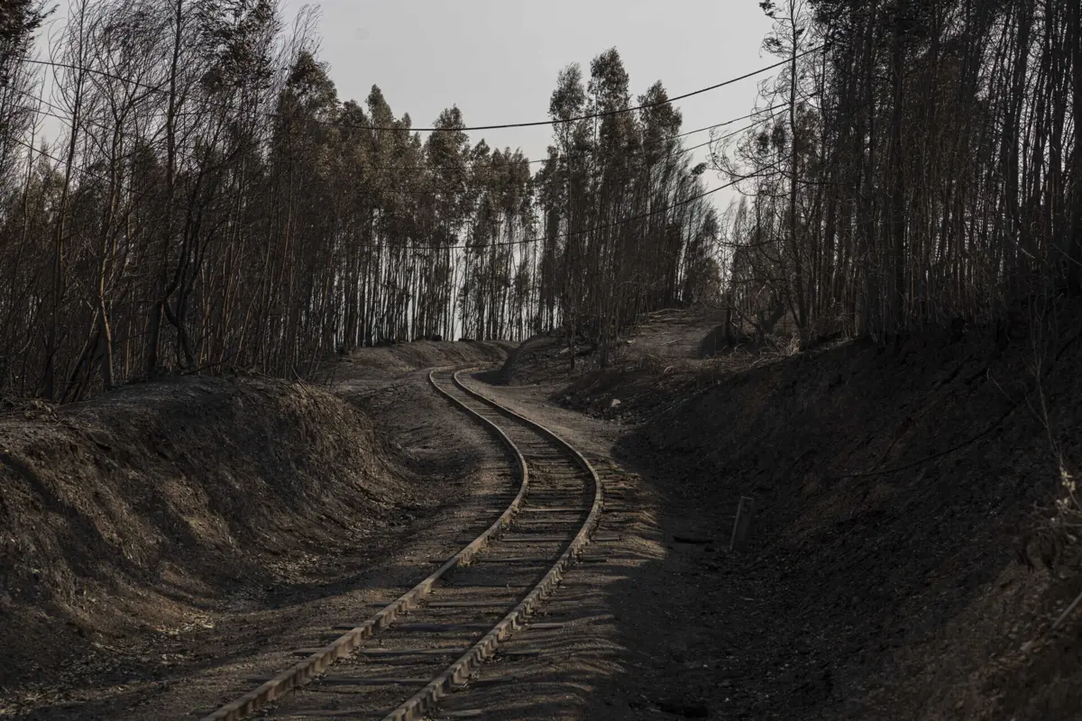 Imagem de contexto do artigo Com chuvas fortes, APA tenta conter detritos dos incêndios nas linhas de água