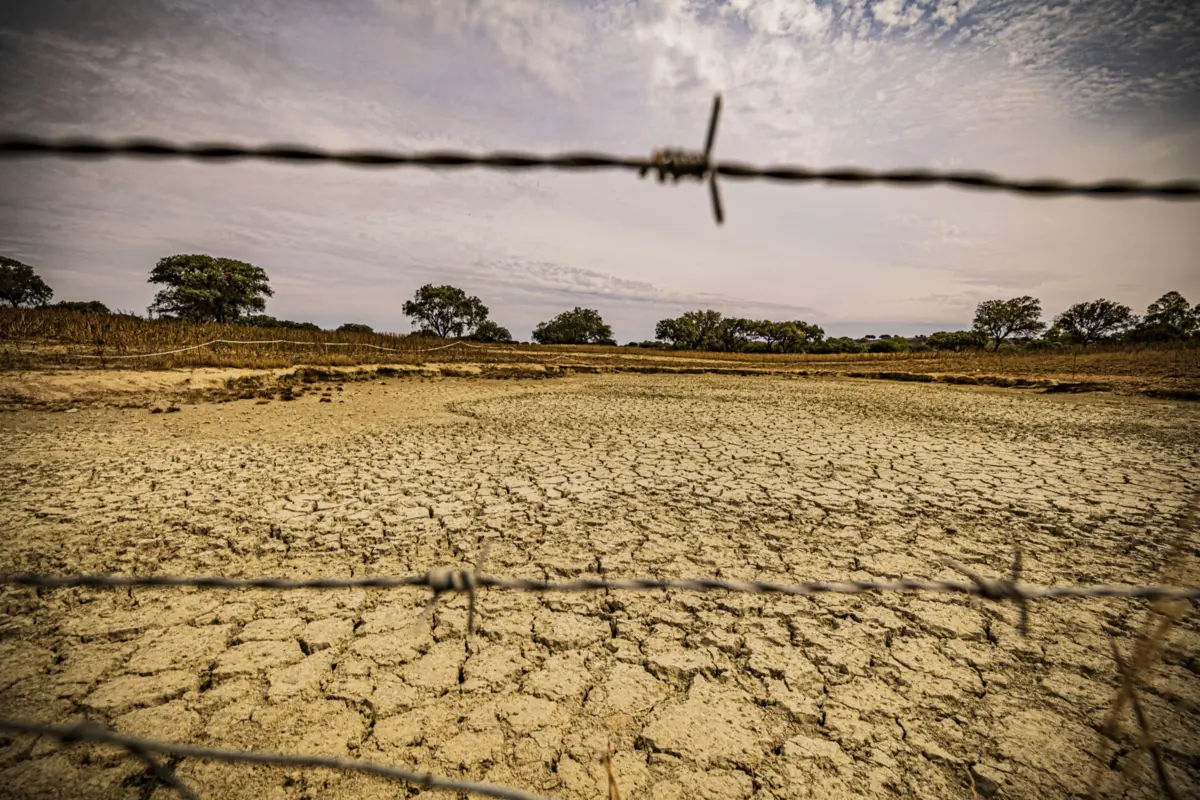 Imagem de contexto do artigo Algarve continua em seca hidrológica extrema mesmo após últimas chuvas
