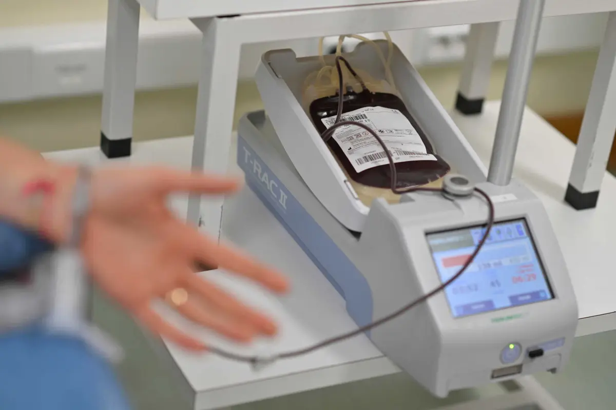 Imagem de contexto do artigo Portugal "perdeu" 40 mil dadores de sangue em dez anos. Federação quer repor direito a faltar ao trabalho no dia da dádiva