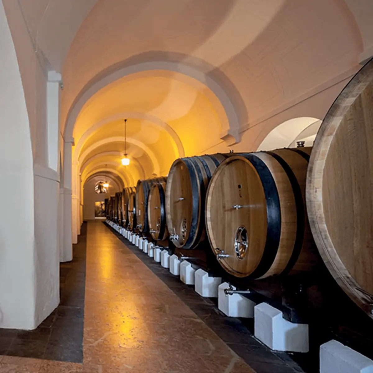 Imagem de contexto do artigo Páteo Cartuxa amplia dimensão de um enoturismo de sucesso