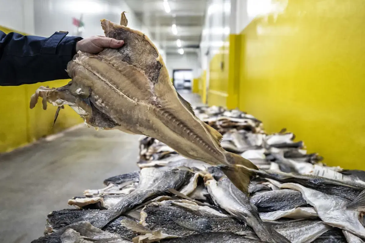 Imagem de contexto do artigo Ceia de Natal mais cara com preços do bacalhau e do peru em alta