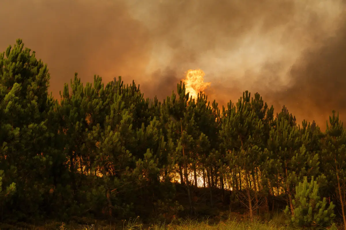 Imagem de contexto do artigo Fogo em Ponte da Barca com duas frentes ativas. Chamas lavram em Amarante e Baião