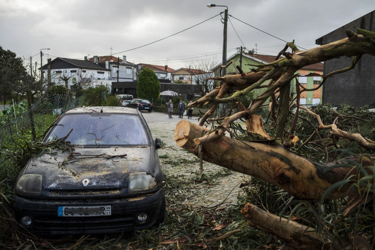Imagem de contexto do artigo Há 25 mil clientes da E-Redes sem eletricidade às 12h00 desta quarta-feira devido à tempestade