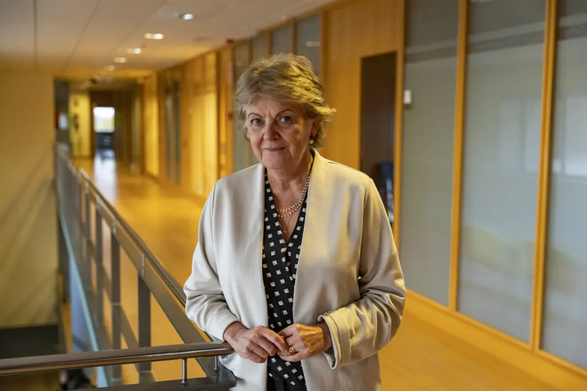 Imagem de contexto do artigo Elisa Ferreira: "Nunca o projeto europeu foi tão ameaçado"