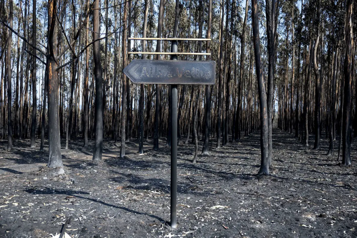 Até ao final de abril, a um mês do fim do prazo, a GNR tinha sinalizado mais de dez mil terrenos por limpar