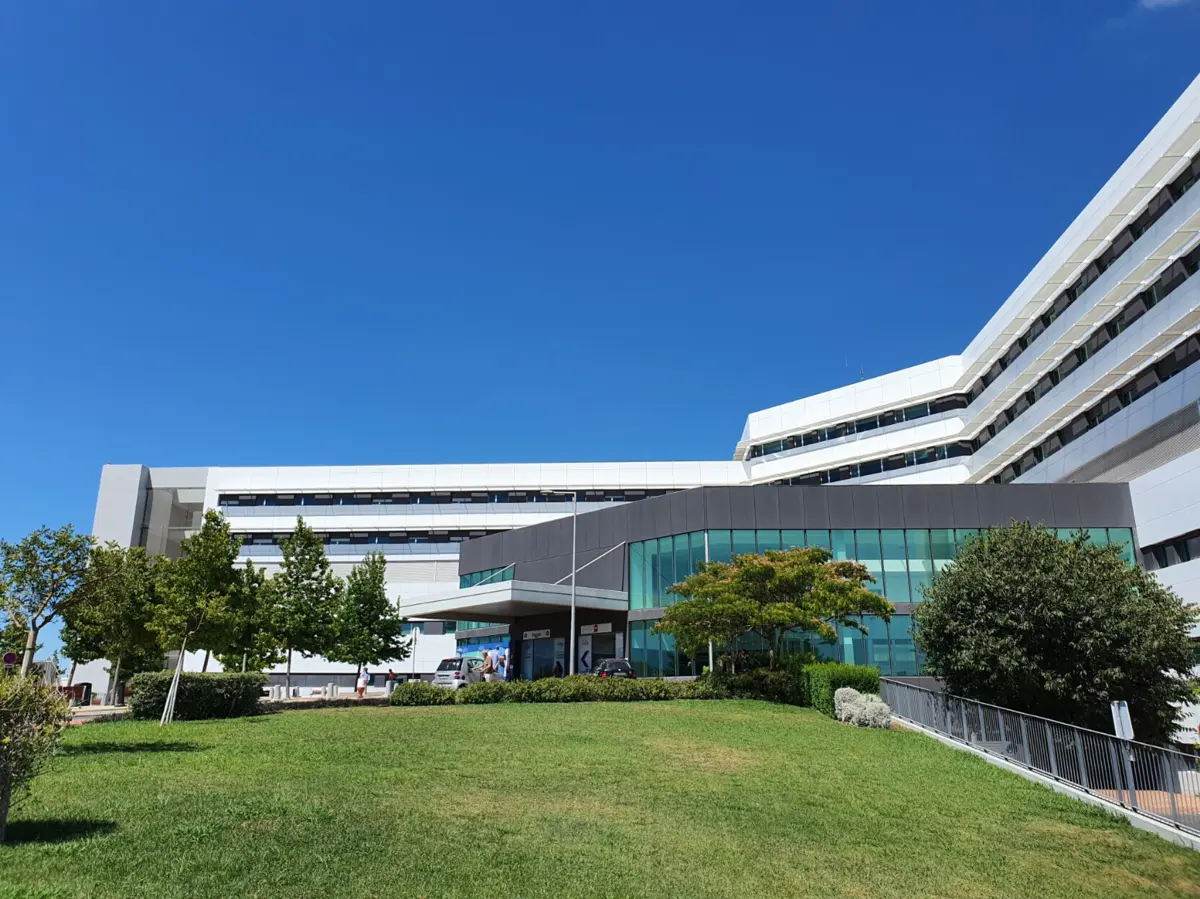 Segundo Isabel Barbosa, a “grave carência” de profissionais já está a ter impacto no funcionamento dos serviços