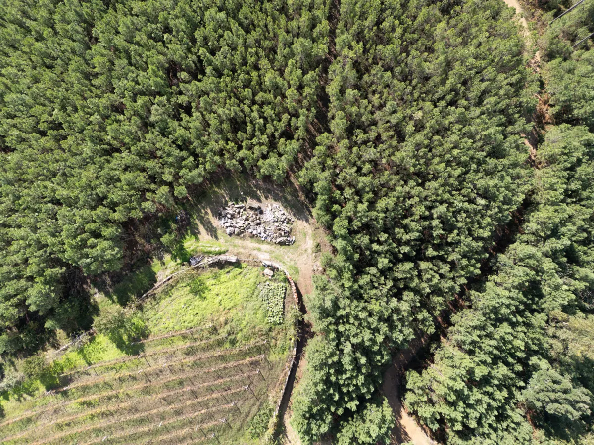 Imagem de contexto do artigo Da economia dos concelhos aos impactos ambientais: prospeção de lítio preocupa autarcas da Beira Alta