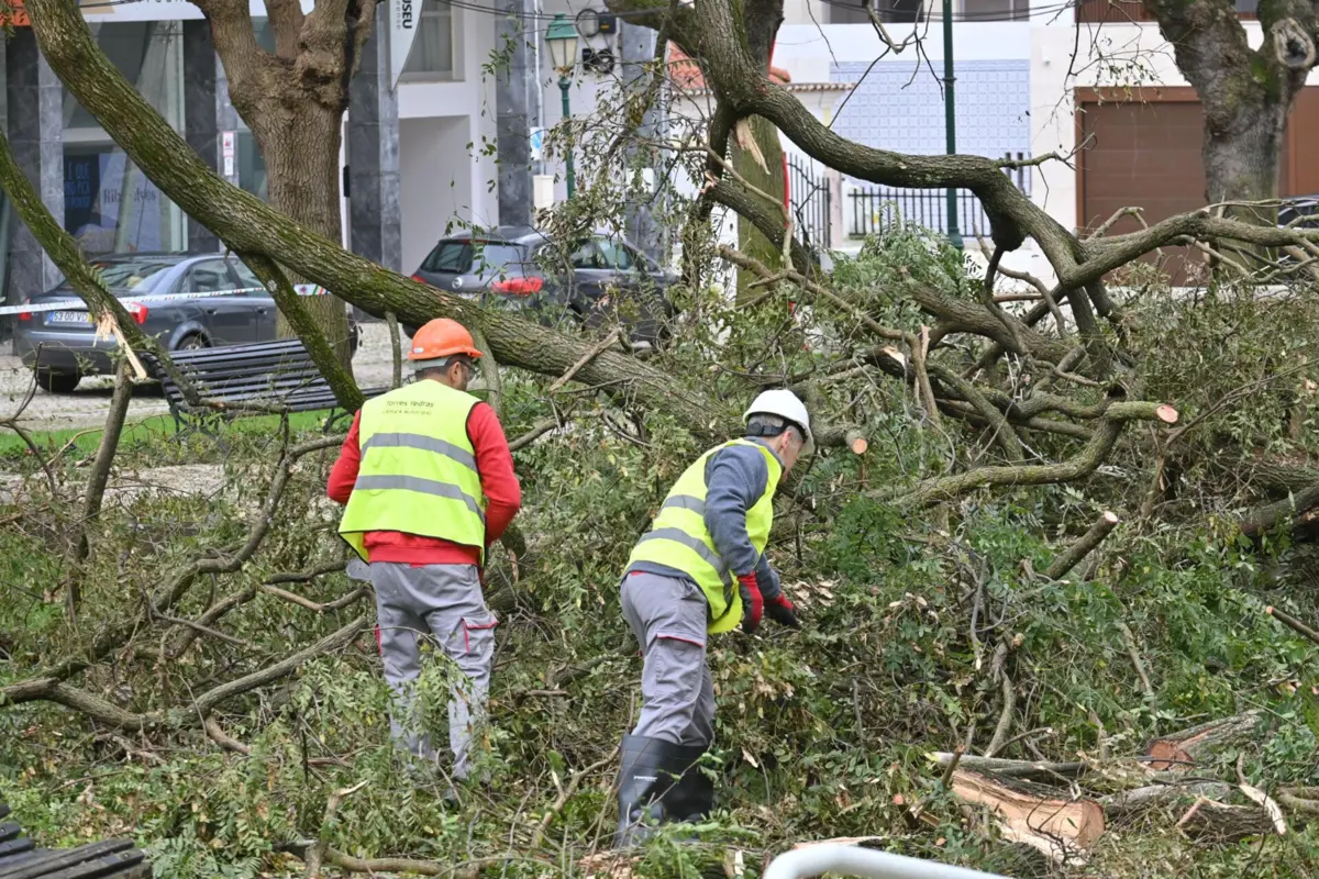Imagem de contexto do artigo Número de mortos provocados pela depressão Kristin sobe para três