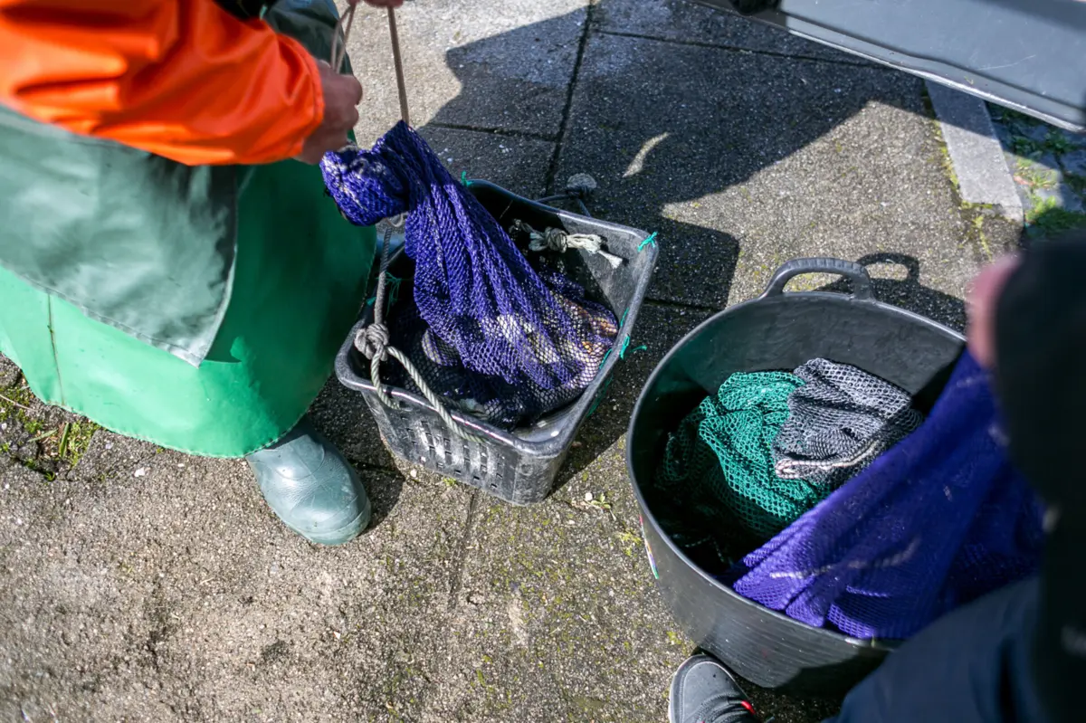 Imagem de contexto do artigo Recusa corte além dos 20%. Secretária de Estado das Pescas quer melhorar proposta de Bruxelas para o goraz