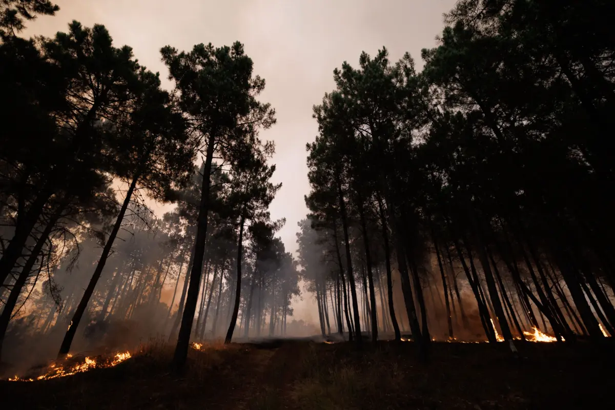 Imagem de contexto do artigo Incêndios: câmara de Arganil admite acionar Plano Municipal de Emergência de Proteção Civil