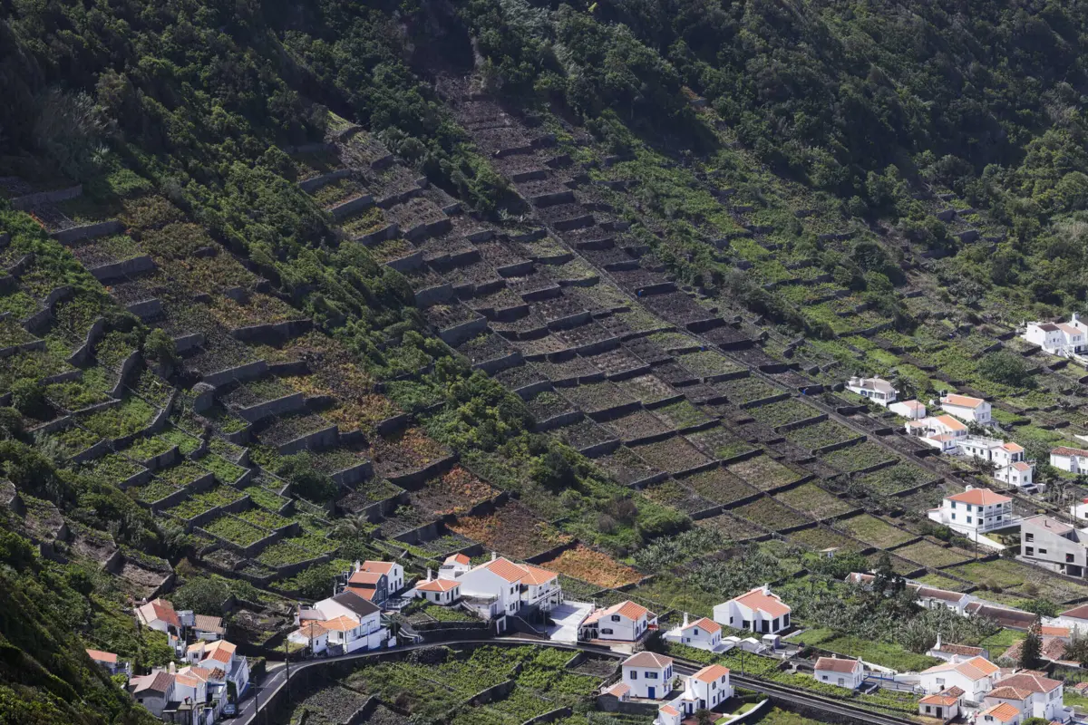 "A procura norte-americana está no top 3 da origem dos países que procuram casa em Portugal", refere João Brás