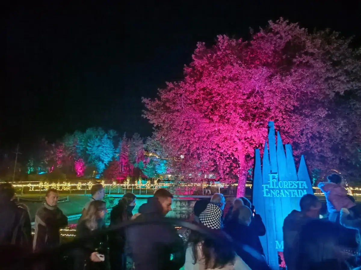 Imagem de contexto do artigo Marques Mendes fez campanha pela Floresta Encantada de Arcos de Valdevez