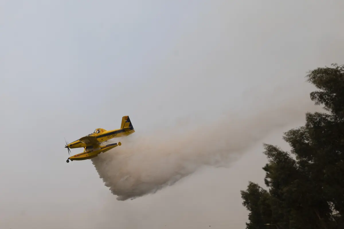 Imagem de contexto do artigo Incêndio em Castelo Branco entrou em fase de resolução