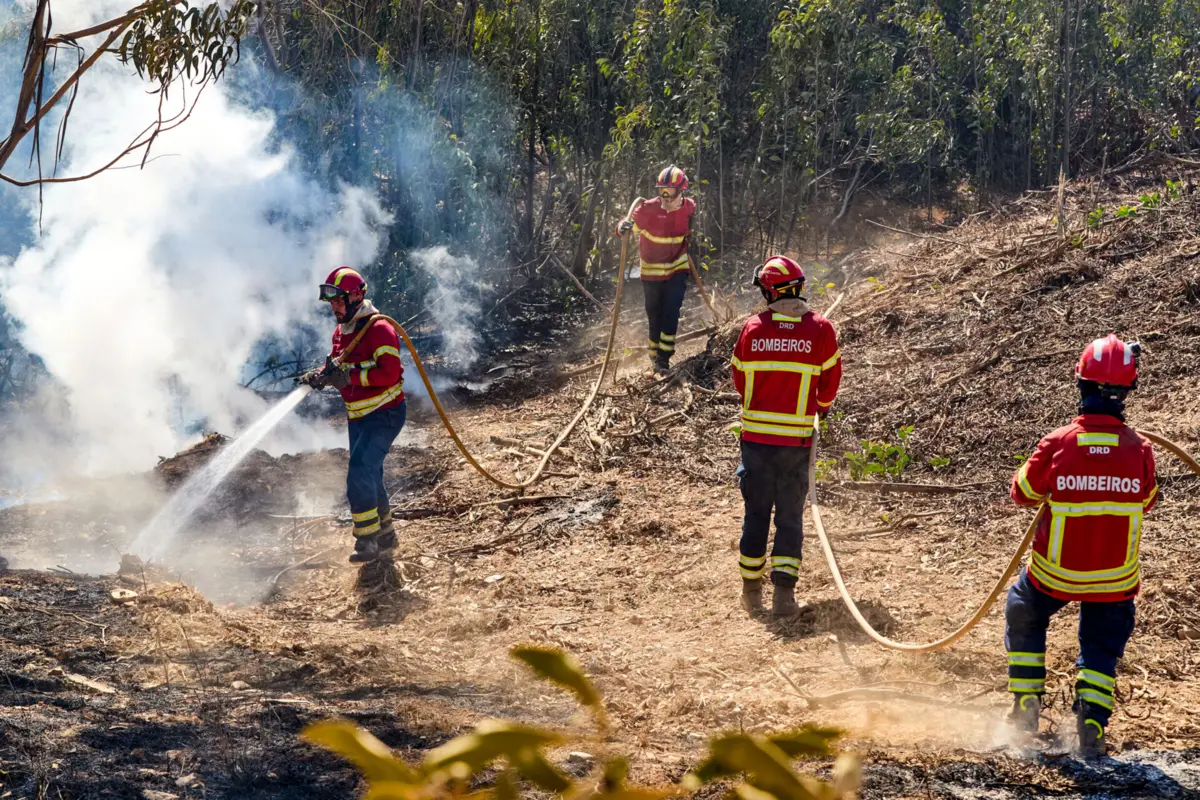 O tema do combate aos incêndios florestais subiu a debate no Fórum TSF