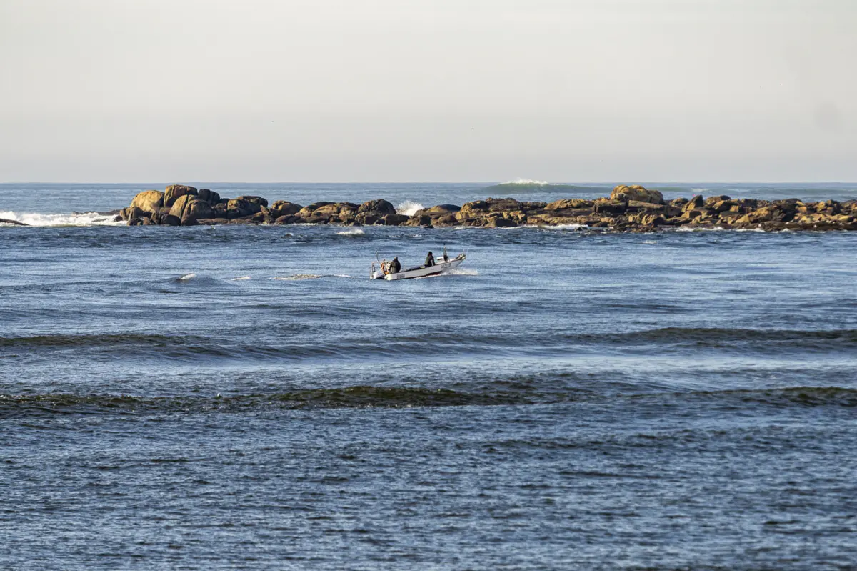 Imagem de contexto do artigo Retomadas buscas por três pescadores após naufrágio em Caminha