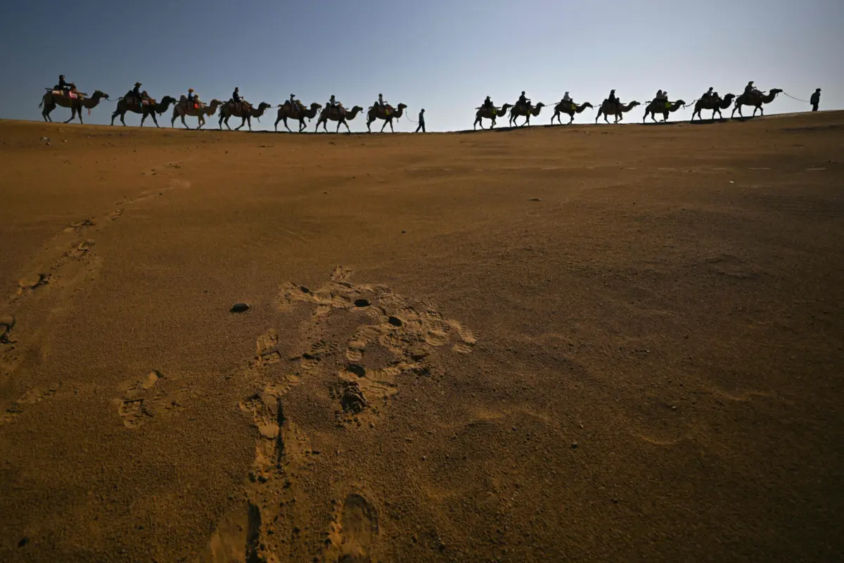 Imagem de contexto do artigo Prémio Nobel da Química: uma investigação que pode servir para encontrar água no deserto
