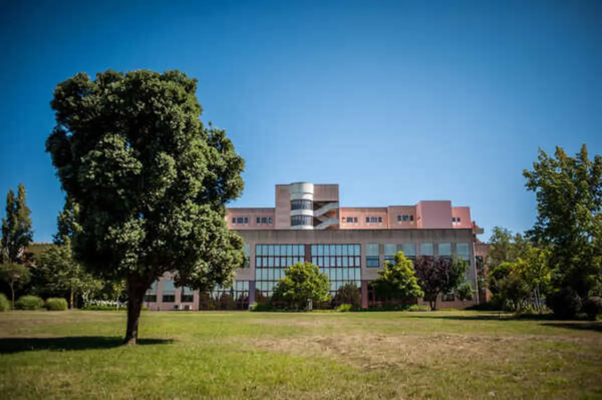 Imagem de contexto do artigo Ministério da Saúde vai desenvolver plano para urgências do Hospital Amadora-Sintra