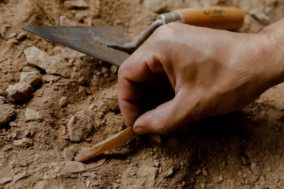 Imagem de contexto do artigo Cientistas identificam o momento da maior extinção em massa da história