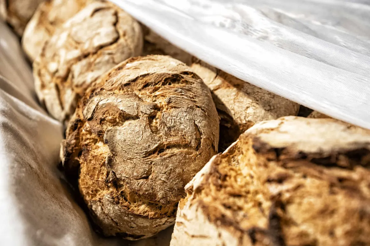 Imagem de contexto do artigo Aumento dos custos de produção e do salário mínimo: preço do pão deverá subir pelo menos 5% em 2025
