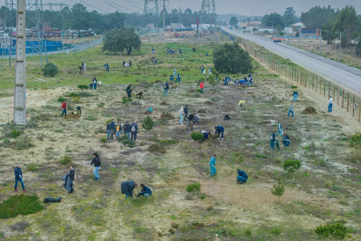 Imagem de contexto do artigo Mais de mil plantas formam "Corredor Verde" na Autoeuropa