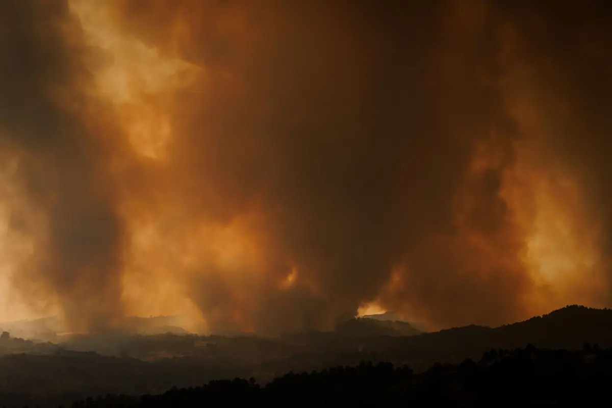 Imagem de contexto do artigo Guarda: ex-autarca de Vila Franca do Deão morre a combater fogo