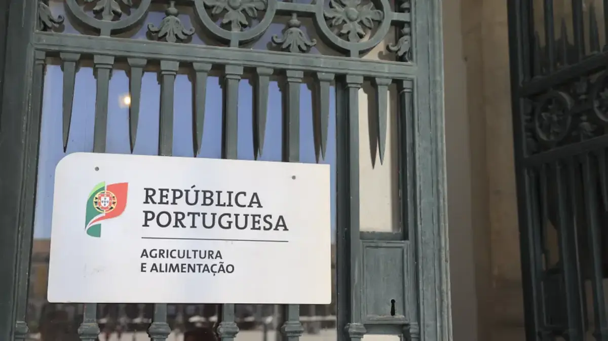 Imagem de contexto do artigo Chefe de gabinete do ministro da Agricultura investigado após denúncia de assédio sexual