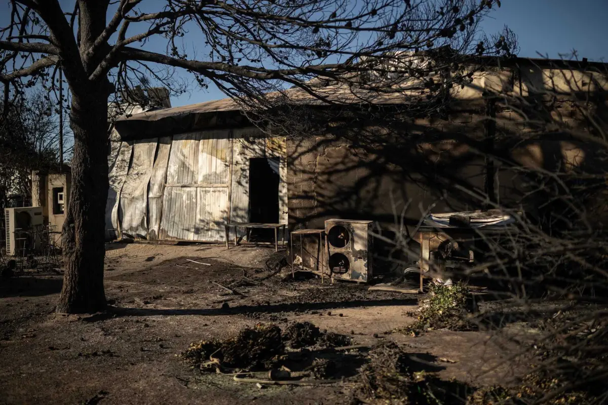 Imagem de contexto do artigo Fogo em Atenas: "Estamos todos cansados, queremos acreditar que as coisas estão a melhorar"