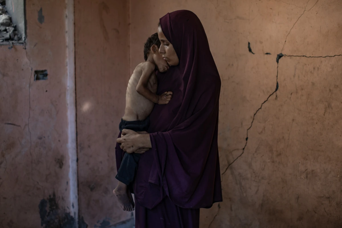 Os subscritores querem que “Portugal tenha um papel ativo e relevante na promoção da paz e na defesa dos Direitos Humanos”