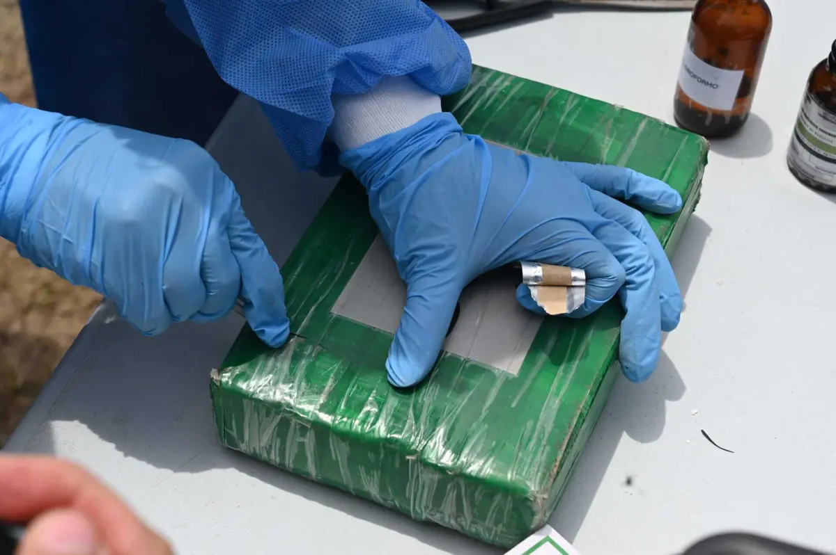 Imagem de contexto do artigo Produção de cocaína bate recorde de 2,7 mil toneladas em 2022