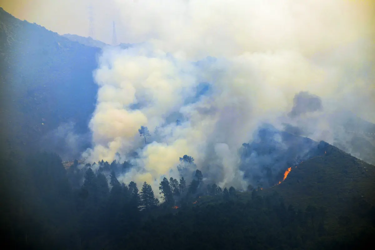 Imagem de contexto do artigo Serra do Alvão atingida por novo incêndio em Ribeira de Pena: acessos dificultam combate