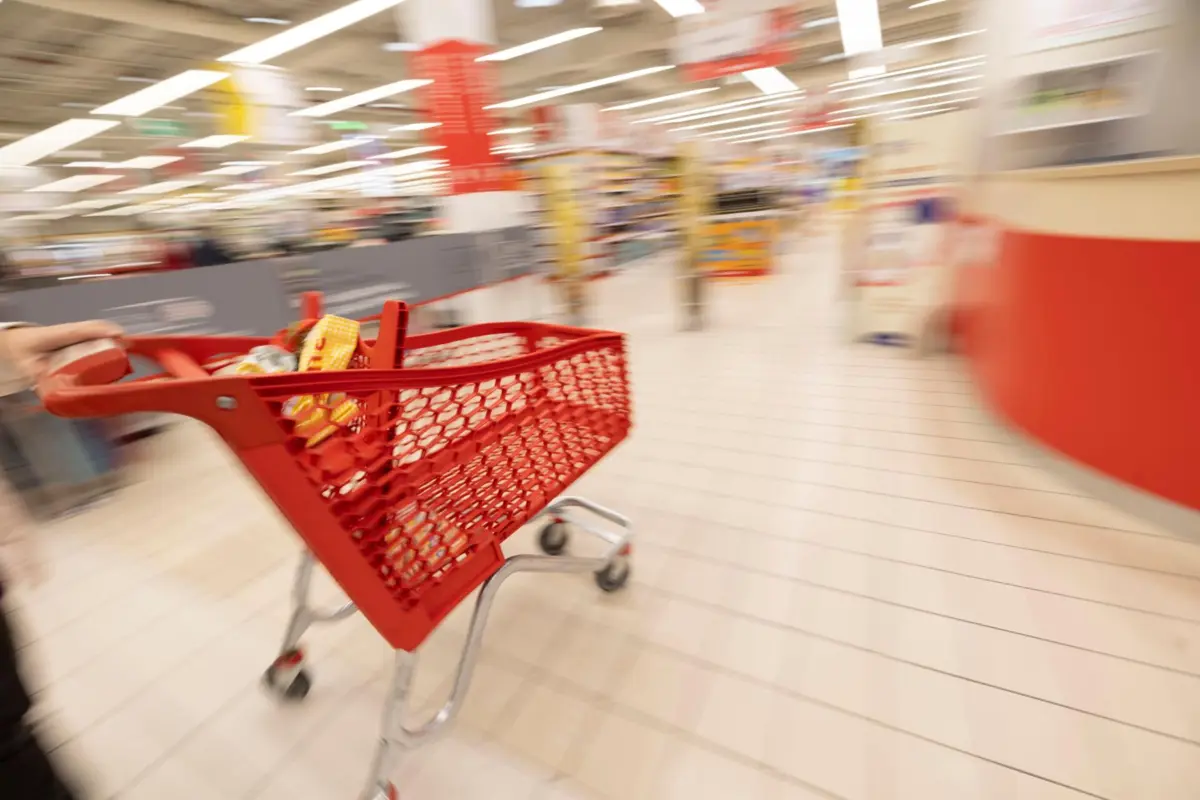 Imagem de contexto do artigo IVA baixa para 6% na produção de azeite, carne de caça e obras de arte nas galerias