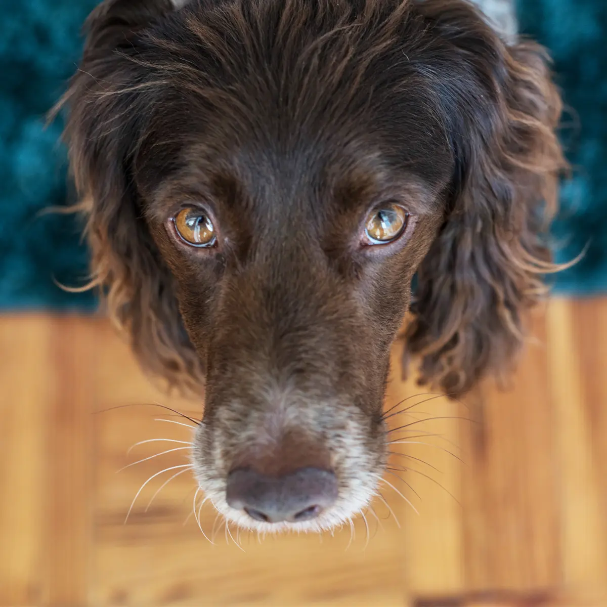 Imagem de contexto do programa undefined