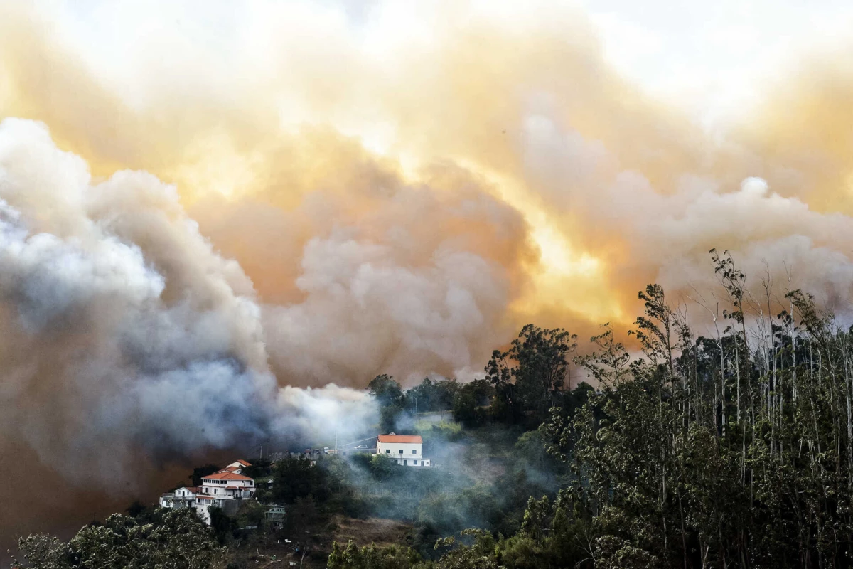 Imagem de contexto do artigo Madeira regista 4392 hectares de área ardida desde início do fogo