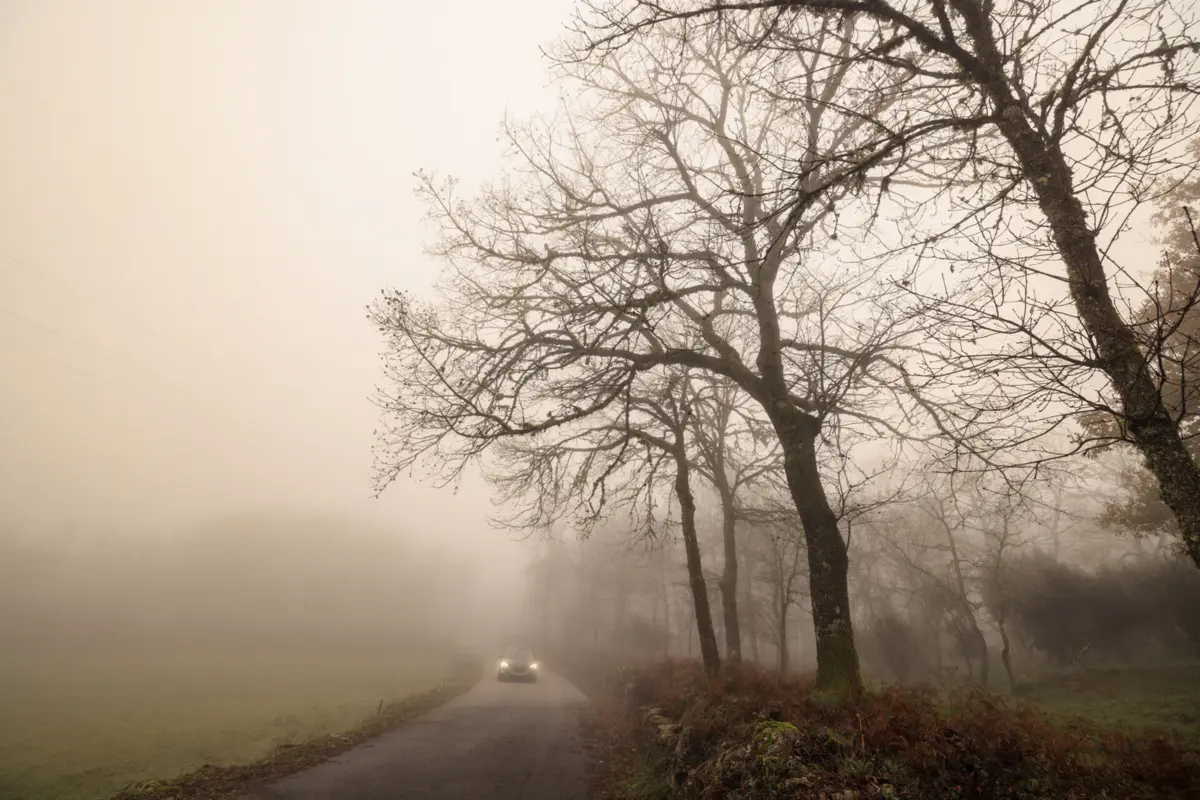 Imagem de contexto do artigo Há quatro distritos sob aviso laranja até terça-feira devido ao nevoeiro. Saiba quais são