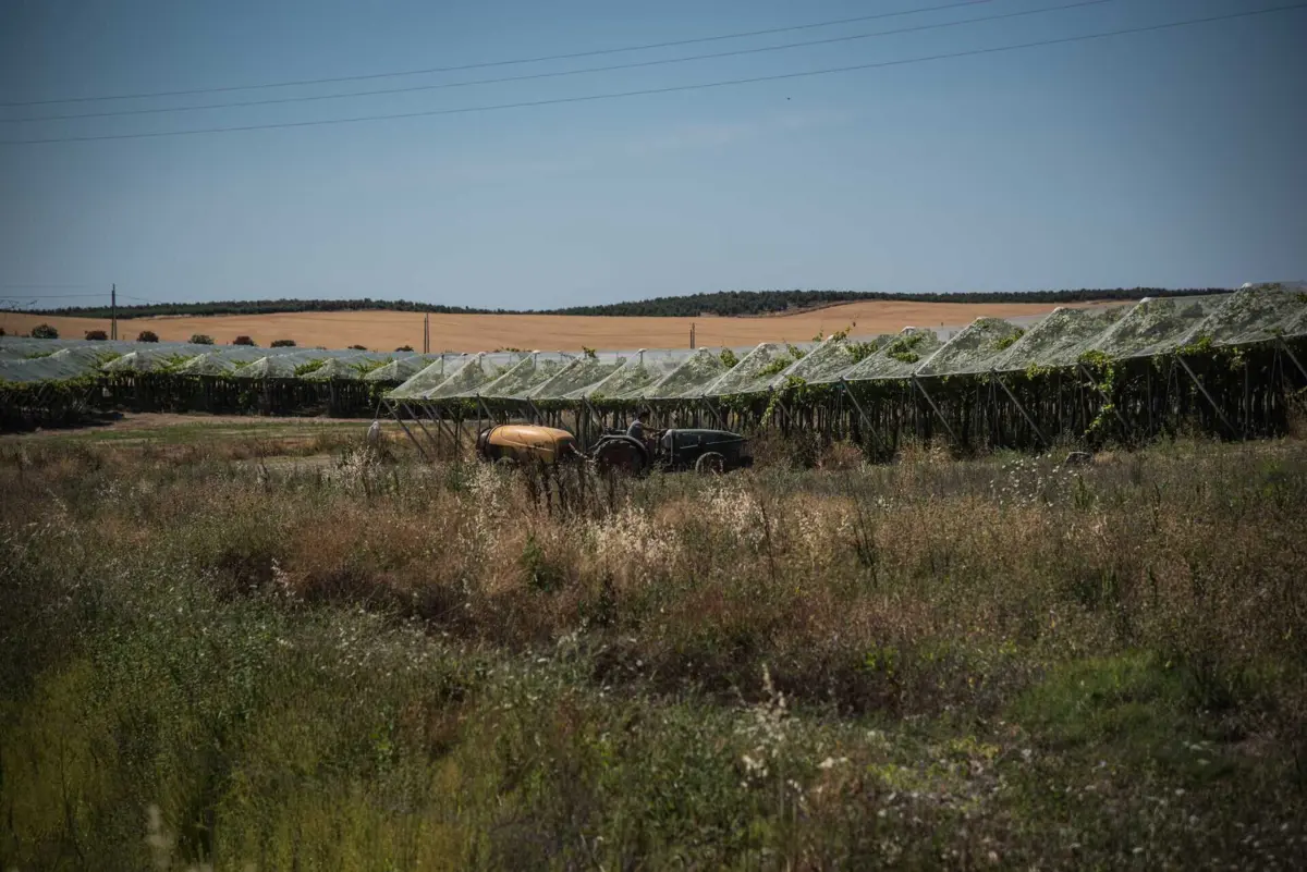 Imagem de contexto do artigo Mais de 250 luso-venezuelanos acolhidos no coração do Alentejo
