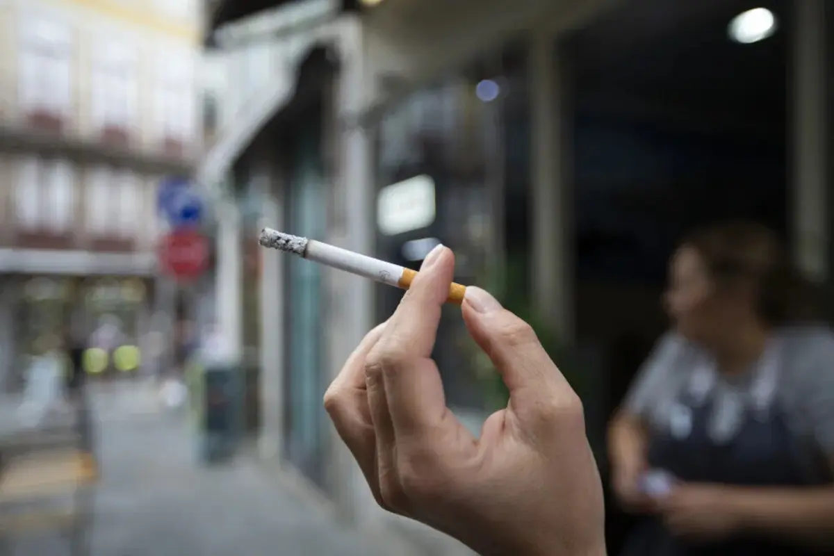 Imagem de contexto do artigo ULS Santo António e Cascais avançam com rastreio ao cancro do pulmão