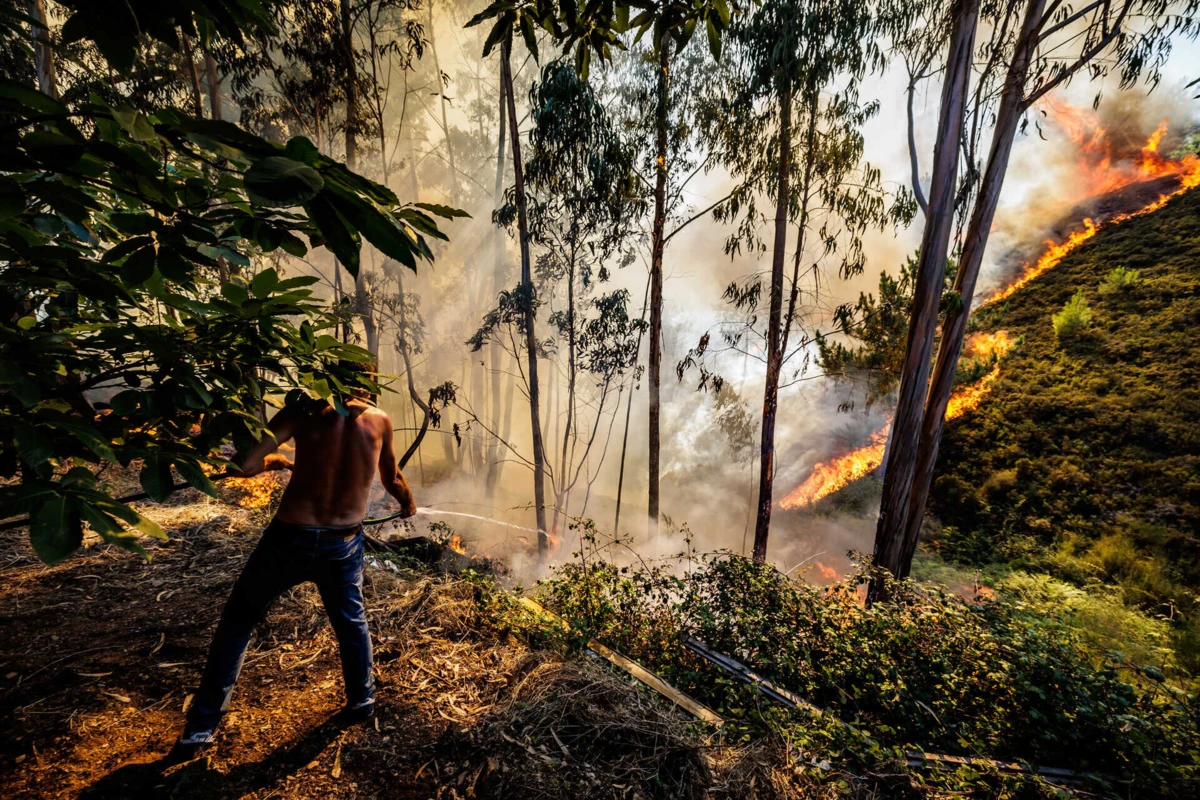 Imagem de contexto do artigo Governo declara "situação de alerta" em Portugal continental devido ao perigo de incêndios rurais