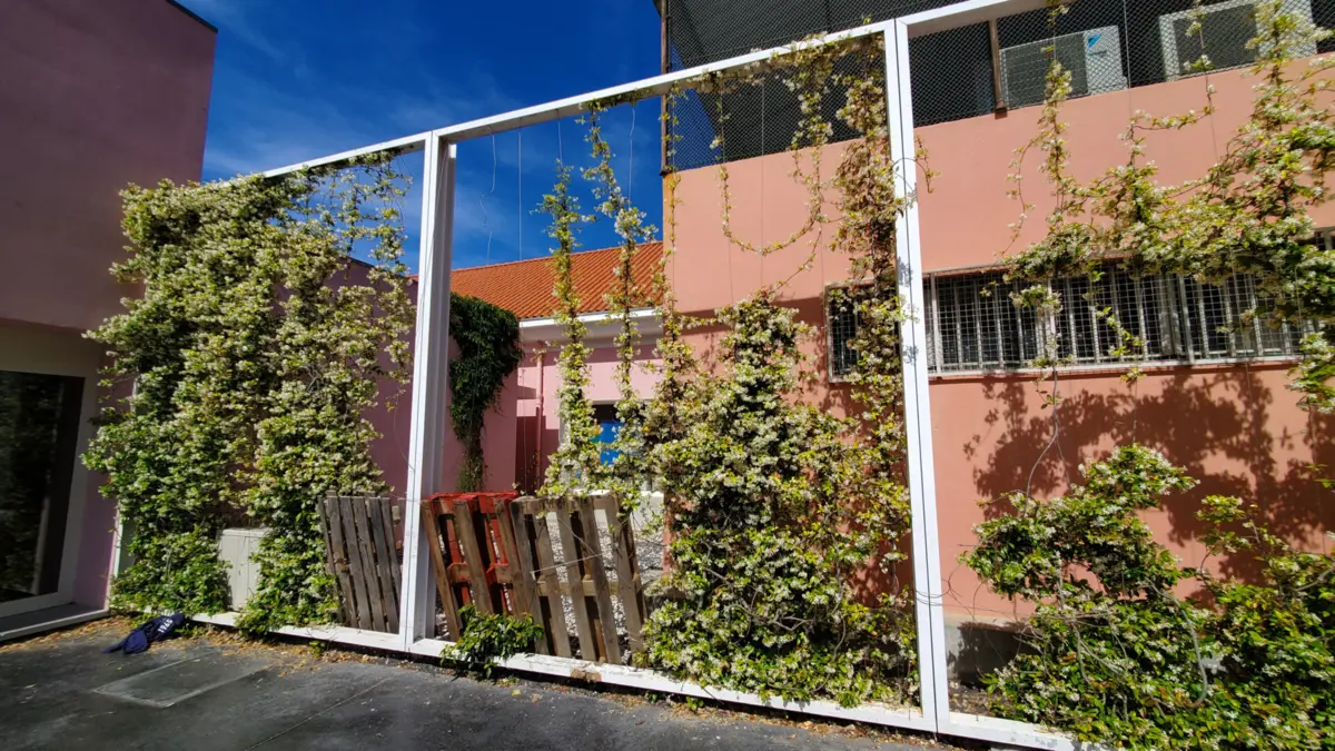 São autênticos hotéis para quem procura abrigo de várias ameaças