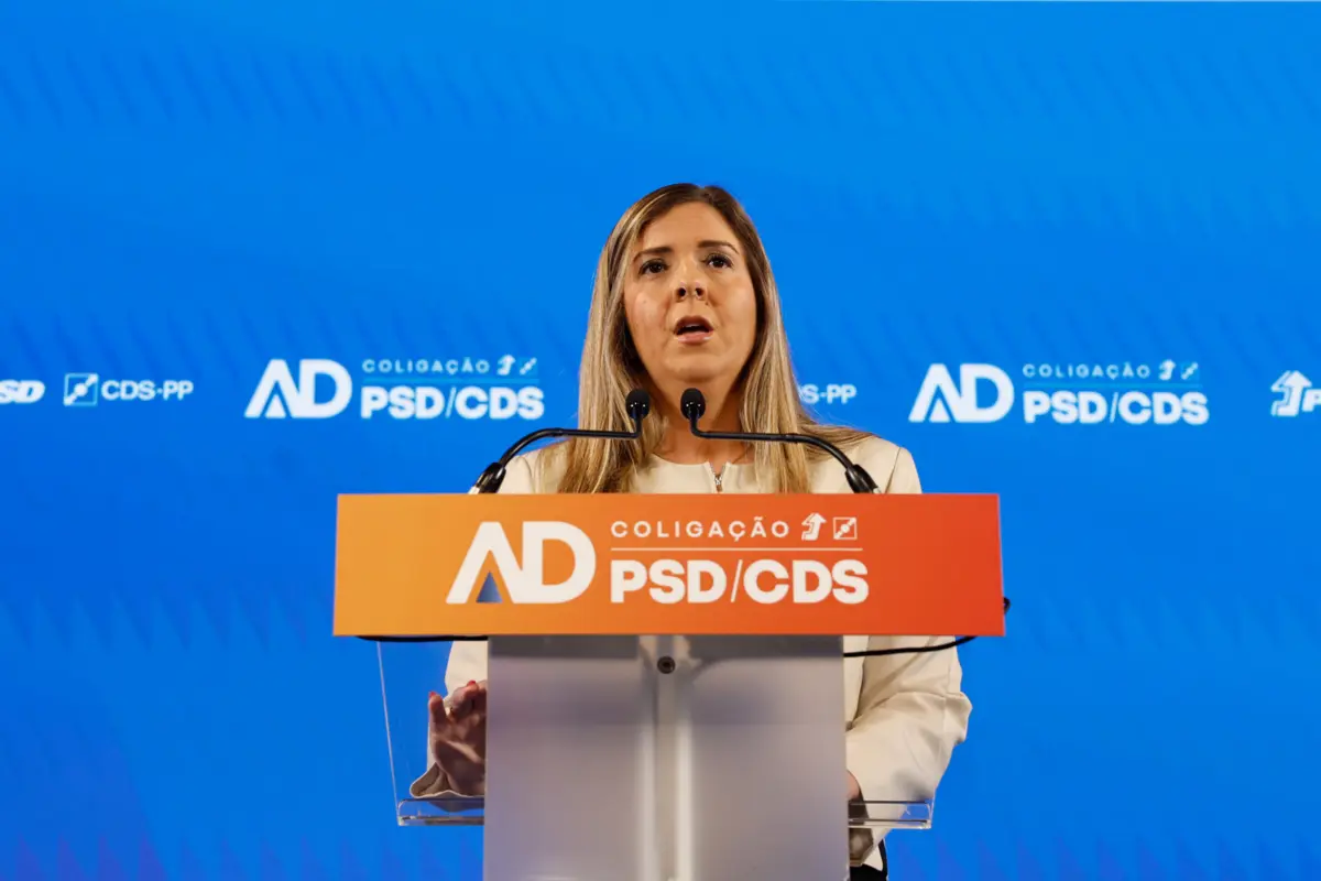 Imagem de contexto do artigo Margarida Balseiro Lopes junta à Juventude os muitos dossiês da Cultura