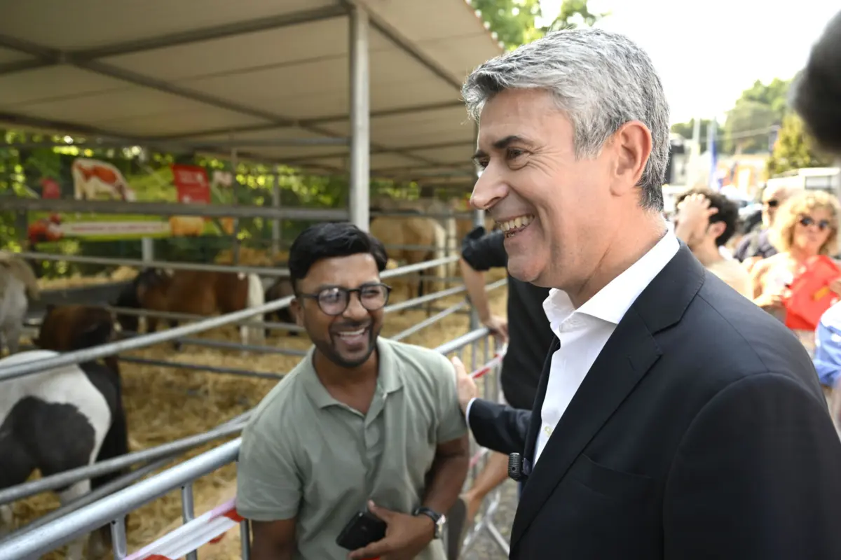 José Luís Carneiro