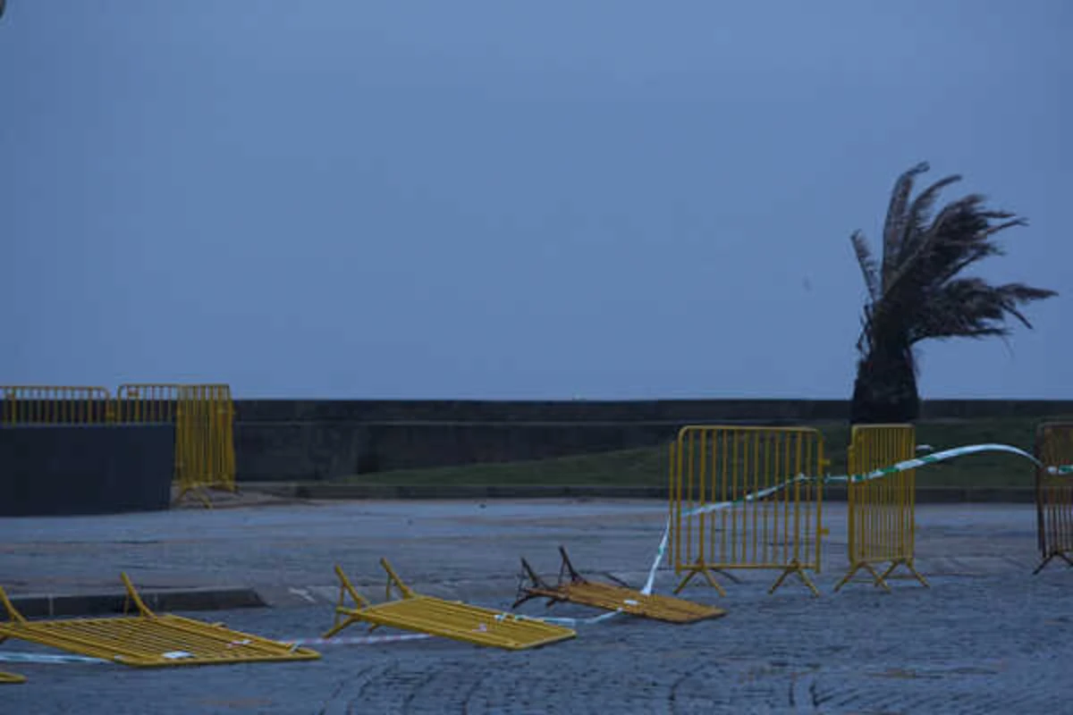 Imagem de contexto do artigo Aviso amarelo em oito distritos devido a vento forte