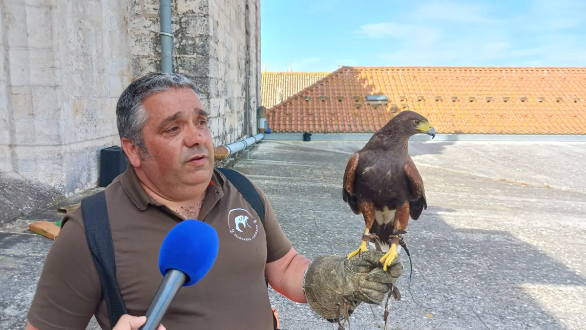 O falcoeiro Rui Fortunato