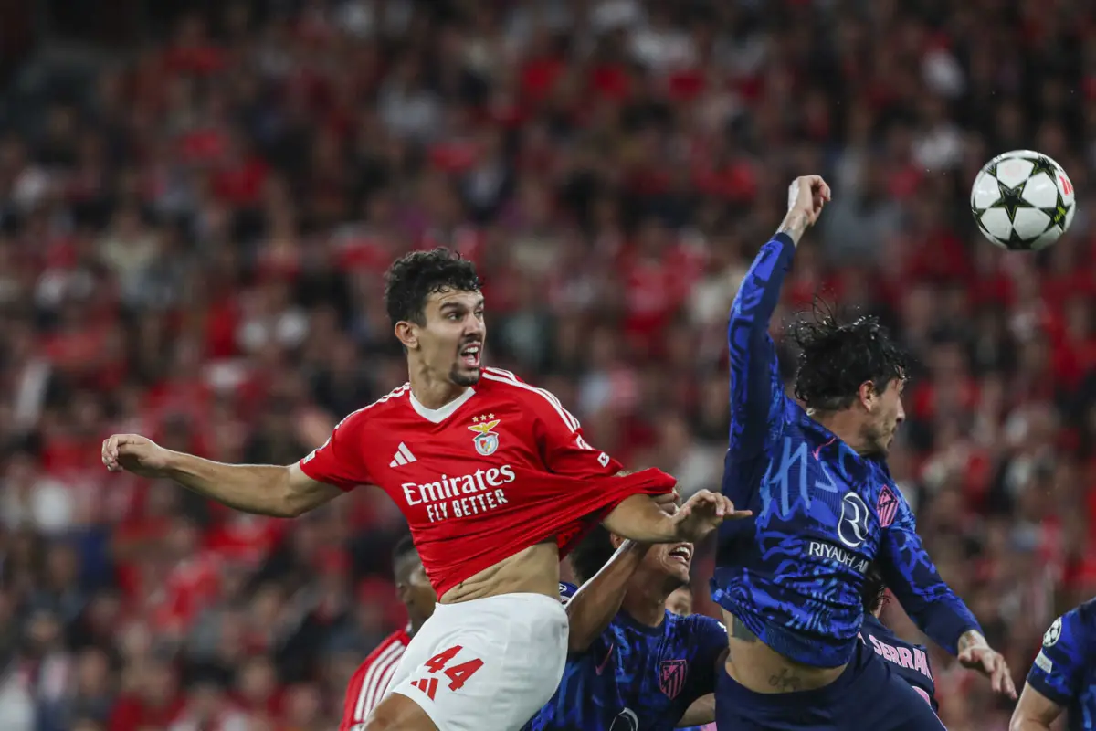Tomás Araújo é jogador do Benfica