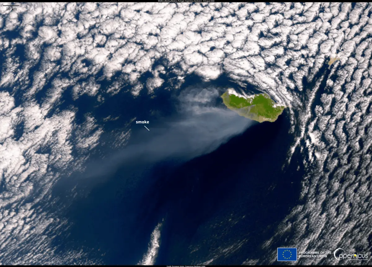 Imagem de contexto do artigo Uma "coluna de fumo" que se estende por 130 quilómetros. Imagem de satélite mostra dimensão do fogo na Madeira