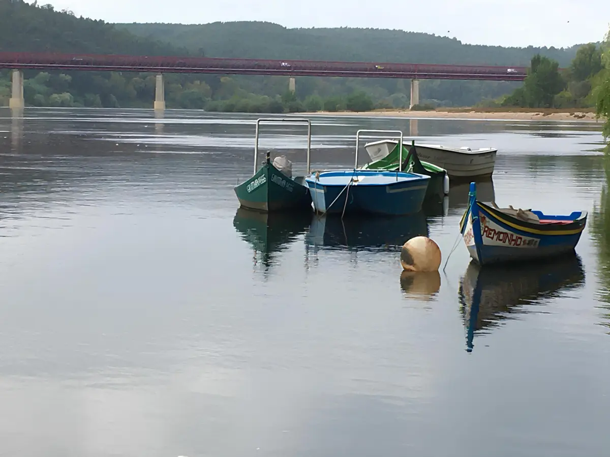 Imagem de contexto do artigo Reportagem TSF Rua do Tejo. Constância, a vila-Camões