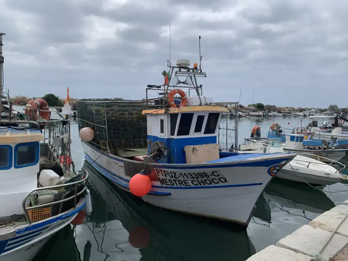 Imagem de contexto do artigo Algarve: pescadores do polvo vivem "situação dramática" com "embarcações paradas há um mês"