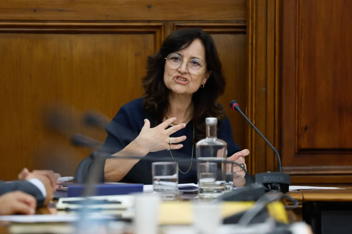 A ministra da Cultura, Dalila Rodrigues, está a ser ouvida esta quarta-feira no Parlamento