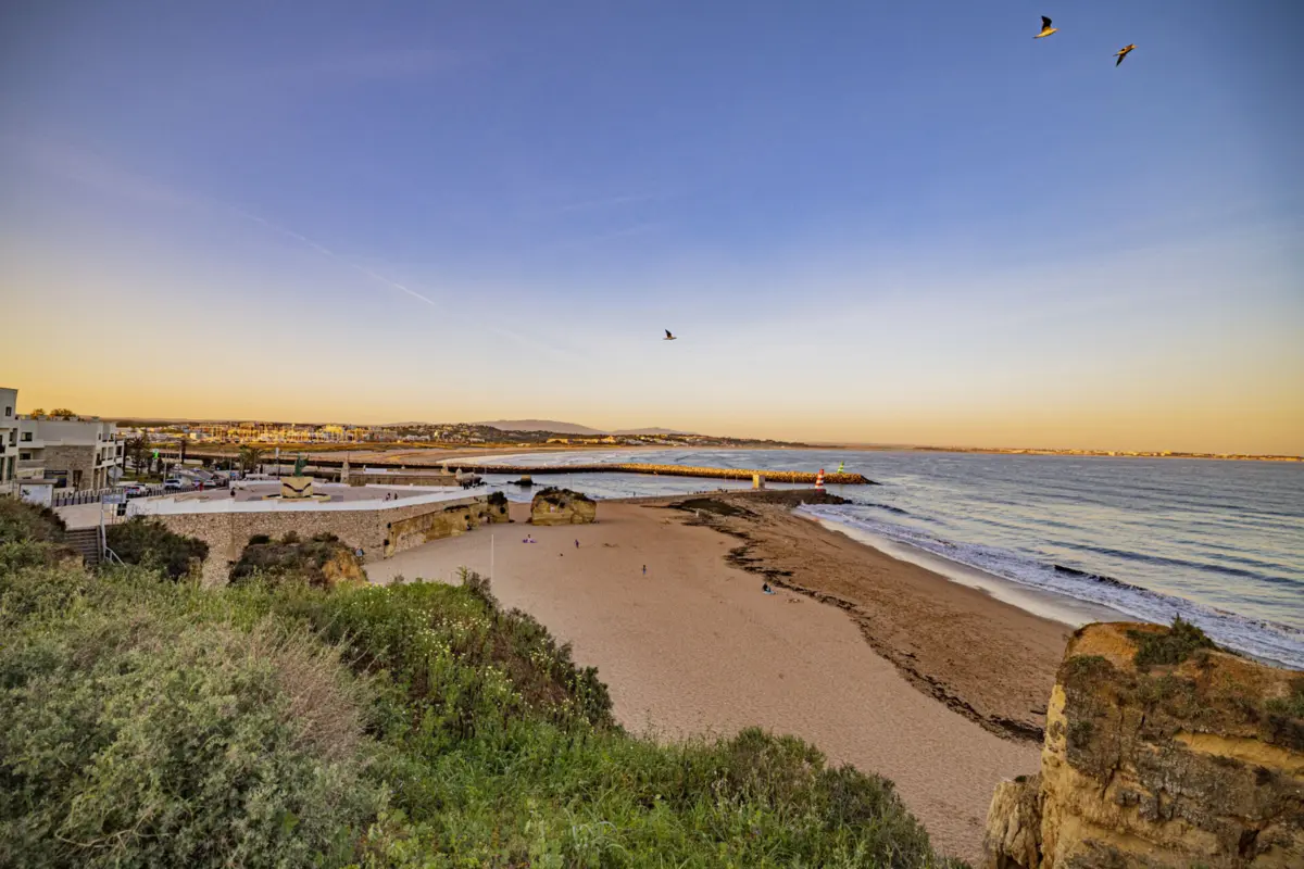 Imagem de contexto do artigo Vai nascer um Observatório Marinho no Algarve