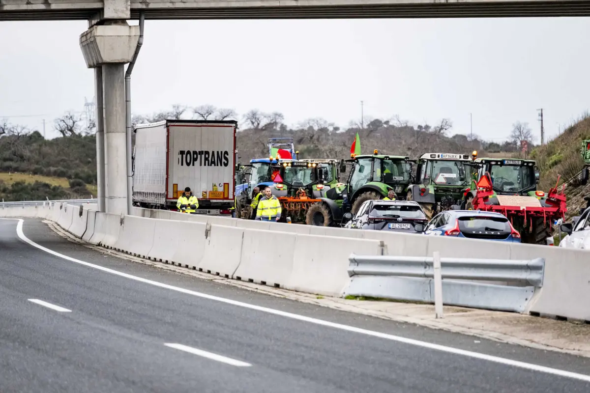 O Movimento Cívico de Agricultores da Região Oeste é um movimento espontâneo criado entre os profissionais do setor na região